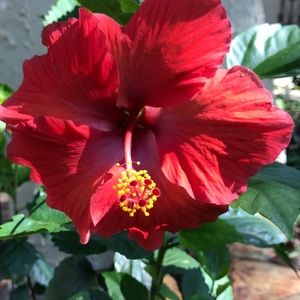 Meet your Posher, Chel